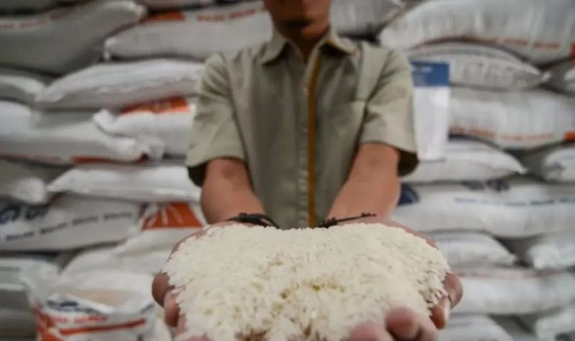 Ombudsman Bongkar Ironi di Tengah Klaim Surplus Stok Beras