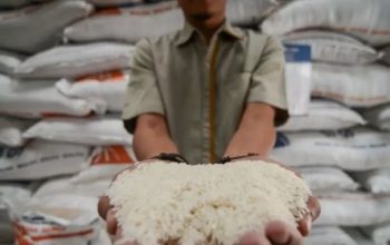 Ombudsman Bongkar Ironi di Tengah Klaim Surplus Stok Beras