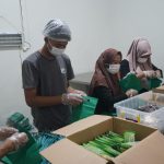 Program Makan Bergizi Gratis Diklaim Ciptakan 290 Ribu Lapangan Kerja