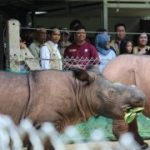 Pakar Konservasi Ingatkan untuk Jaga Hewan Purba dan Warisan Dunia