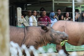 Pakar Konservasi Ingatkan untuk Jaga Hewan Purba dan Warisan Dunia