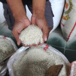 Bulog Bangun Pabrik Penggilingan Beras Modern Rp22,7 Triliun
