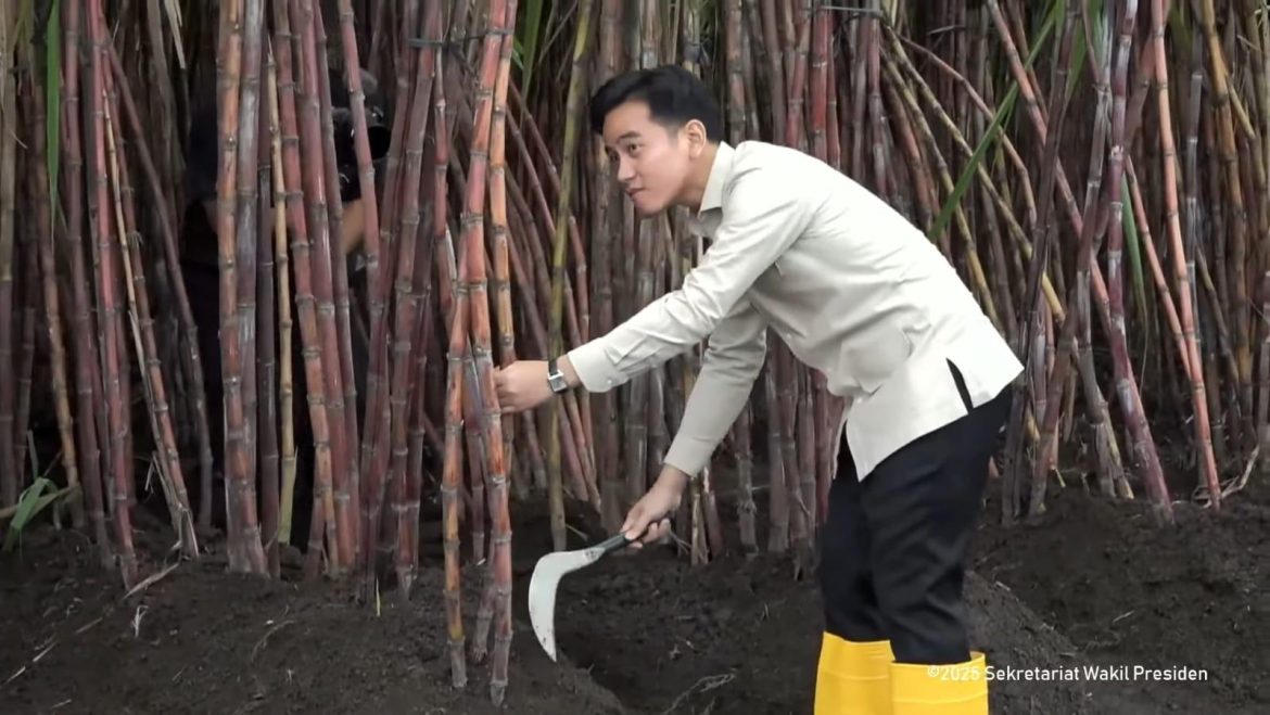 Mesin Pemerintah Diharap Kerja Lebih Optimal dan Tunjukkan Hasil Terbaik
