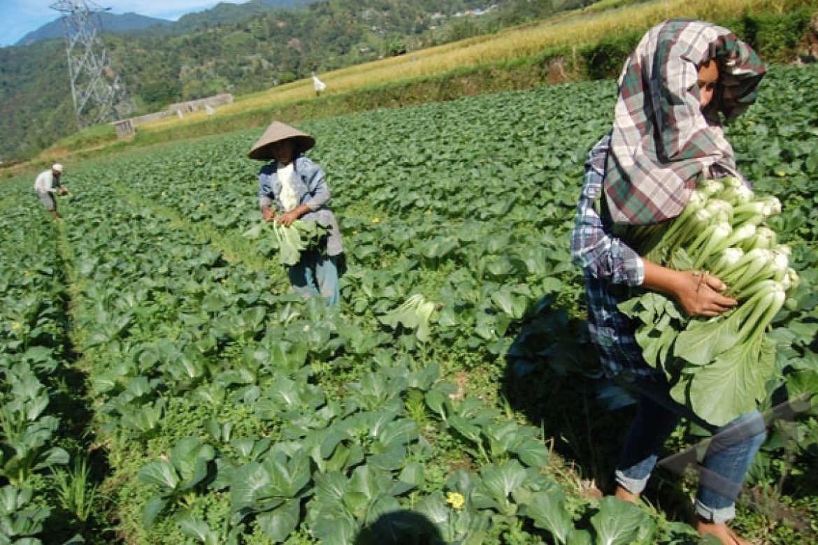 Percepatan Program Prioritas Diharap Buka Lapangan Kerja