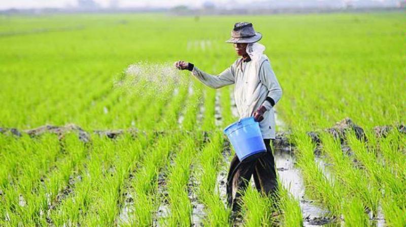Pertemuan DPR Hingga Perwakilan Massa Petani Hasilkan Tiga Kesimpulan
