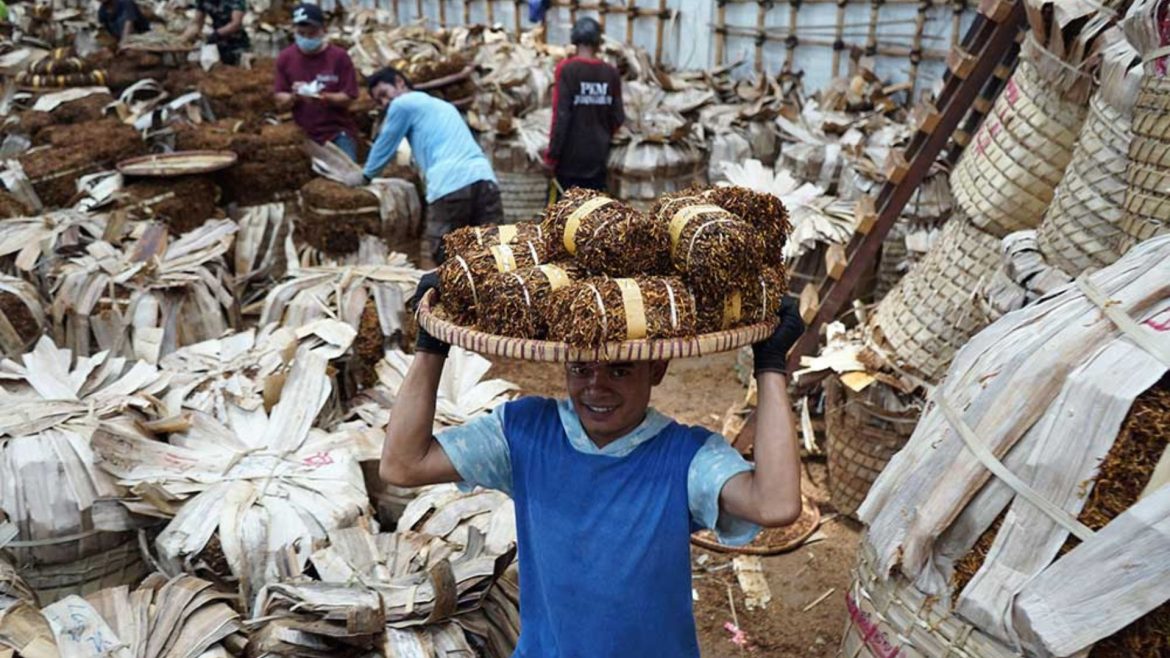 Tingkatkan Pendapatan Negara, Industri Rokok Dapat Angin Segar