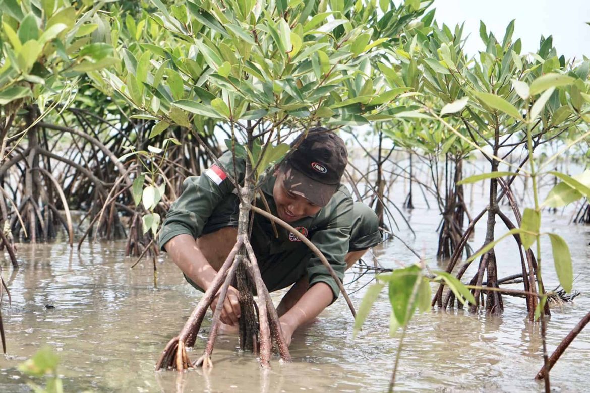 Pembangunan Tanggul Laut Raksasa Disebut Gunakan Pendekatan Kelestarian Alam