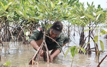 Pembangunan Tanggul Laut Raksasa Disebut Gunakan Pendekatan Kelestarian Alam