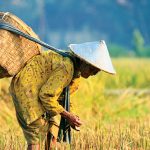 Berbagai Inovasi Guna Dukung Program Ketahanan Pangan