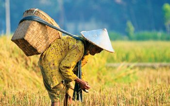Berbagai Inovasi Guna Dukung Program Ketahanan Pangan