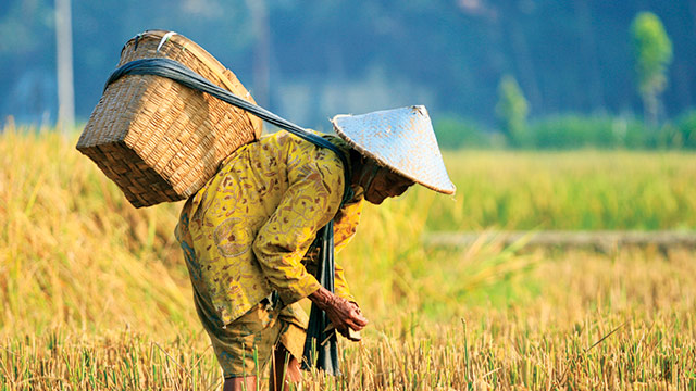 Berbagai Inovasi Guna Dukung Program Ketahanan Pangan