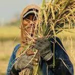 Indonesia Belajar dari Brasil untuk Tingkatkan Hasil Pertanian