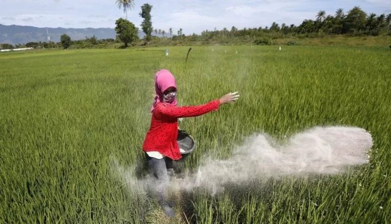 Dorong "Pahlawan Pangan", 190 Izin Usaha Pengecer dan Distributor Pupuk Dicabur