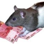 Pemusnahan Bayangi Mafia dan Penyalahgunaan Kekuasaan