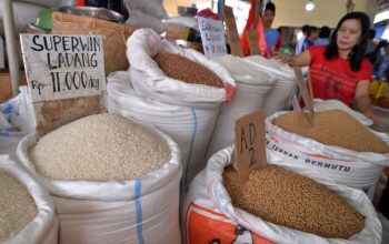 Ratas Pertegas Hitungan Mundur Swasembada Pangan