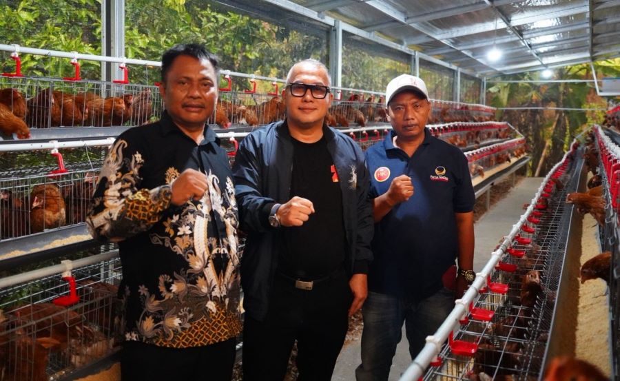 Arif Rahman Salurkan Bantuan Ayam Petelur  Dorong Ekonomi Rakyat