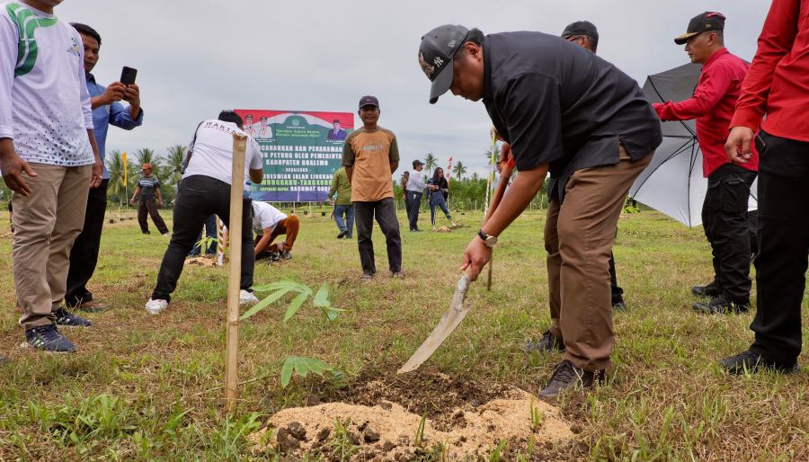 Gobel Awali Tanam Satu Juta Bambu di Boalemo Gorontalo