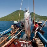 Investasi Proyek Kawasan Industri Kembar Capai Rp36,4 Triliun