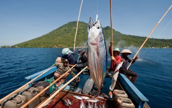 Investasi Proyek Kawasan Industri Kembar Capai Rp36,4 Triliun