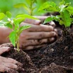 Materi Jaga Lingkungan Diusulkan Masuk dalam Silabus Pendidikan Nasional