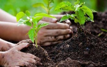 Materi Jaga Lingkungan Diusulkan Masuk dalam Silabus Pendidikan Nasional