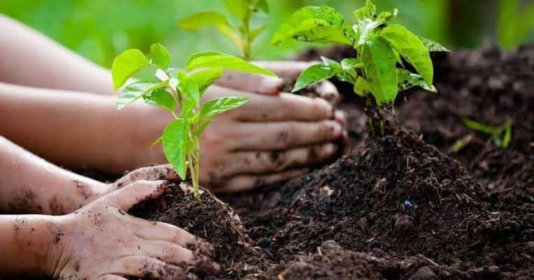 Materi Jaga Lingkungan Diusulkan Masuk dalam Silabus Pendidikan Nasional
