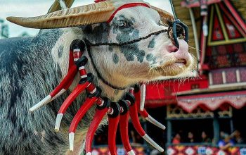 Pandji Bagikan Kabar Terbaru soal Sanksi Adat Toraja