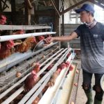 Pengelola MBG Diminta Miliki Nurani dalam Kelola Dapur