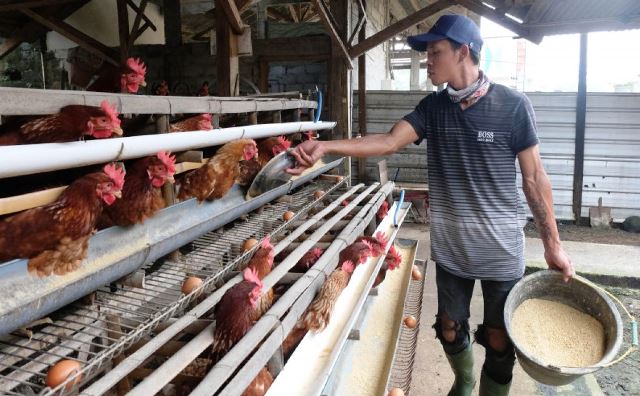 Pengelola MBG Diminta Miliki Nurani dalam Kelola Dapur