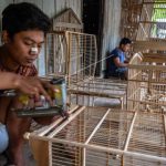 UMKM Serap 97 Persen Tenaga Kerja dan Tingkatkan Ekonomi Kerakyatan