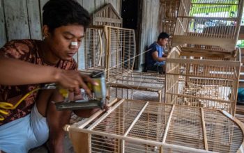 UMKM Serap 97 Persen Tenaga Kerja dan Tingkatkan Ekonomi Kerakyatan