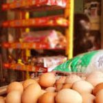 Digitalisasi dan Dilengkapi Fasilitas Operasional, Kopdes Diharap Atasi Ketergantung pada Toko Modern