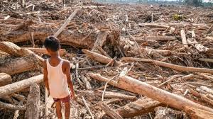 Kalsel Salurkan Bantuan BTT 1,5 Miliar untuk Korban Bencana di Tiga Provinsi