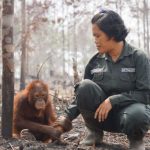 Kerugian Negara Akibat Kerusakan Hutan Disebut Capai Rp175 Triliun