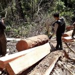 Polri Kantongi Calon Tersangka Dugaan Pembalakan Liar Penyebab Bencana