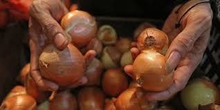 Penegak Hukum Didesak Usut Impor Ilegal dan Penyakit 72 Ton Bawang Belanda