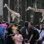 Pengunjung Ragunan Diimbau Tertib Hingga Bawa Jas Hujan