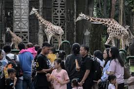 Pengunjung Ragunan Diimbau Tertib Hingga Bawa Jas Hujan