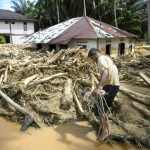 Uji Sampel dan Alat Berat, Kasus Kayu Gelondongan Naik ke Tahap Penyidikan