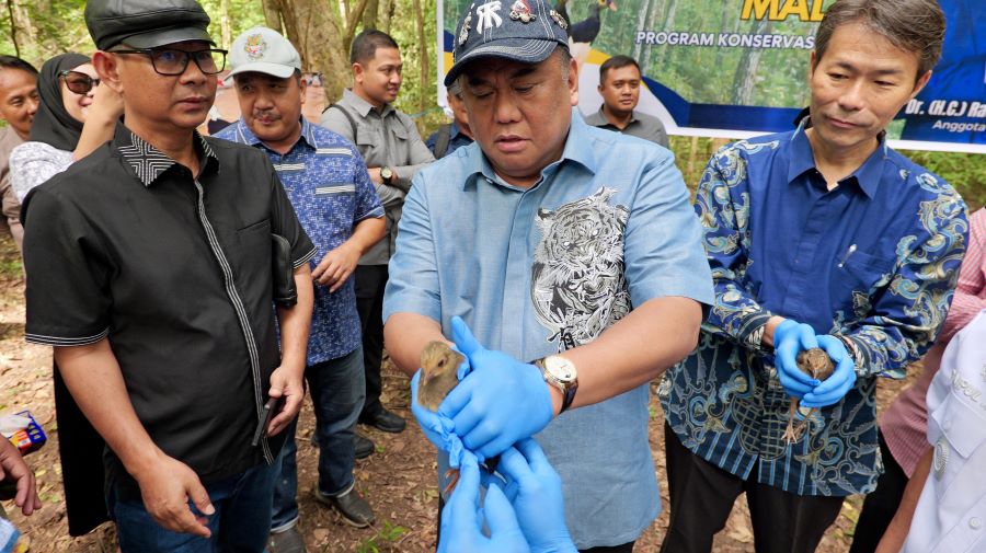 Gobel Tegaskan Lindungi Maleo dan Jaga Habitatnya
