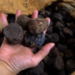 Dua Komoditas Lokal Disebut Miliki Nilai Hilirisasi Capai Rp10 Ribu Triliun