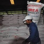 Anggaran Rp57 Triliun Digelontorkan Bangun Pabrik Pupuk