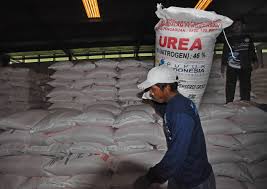 Anggaran Rp57 Triliun Digelontorkan Bangun Pabrik Pupuk