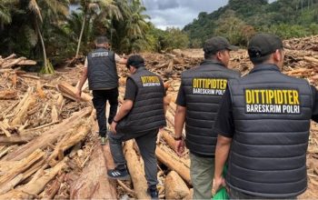 Polri Sidik Dugaan Pidana Lingkungan Hidup dan Pencucian Uang terkait Temuan Kayu Gelondongan di Sumut