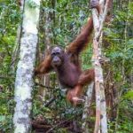 Sigit Paparkan 10 Tantangan Utama yang Dihadapi Indonesia di 2026