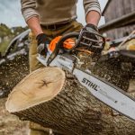Pakar Bongkar Penyebab Hutan Rusak Bukan kerena Alih Fungsi Perkebunan