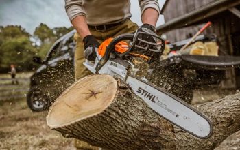 Pakar Bongkar Penyebab Hutan Rusak Bukan kerena Alih Fungsi Perkebunan