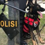 Polri Diberi Teknik untuk Ungkap Pelaku Teror