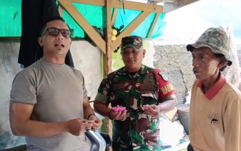 Aman Dikonsumsi, TNI AD Hukuman Babinsa yang Amankan Penjual Es Gabus