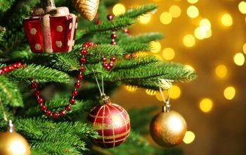 Bangsa Majemuk, Etnis di Indonesia Disebut Capai 1.700